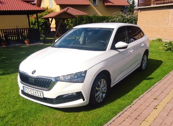 Skoda Scala cena 43900 przebieg: 238102, rok produkcji 2019 z Przecław małe 67